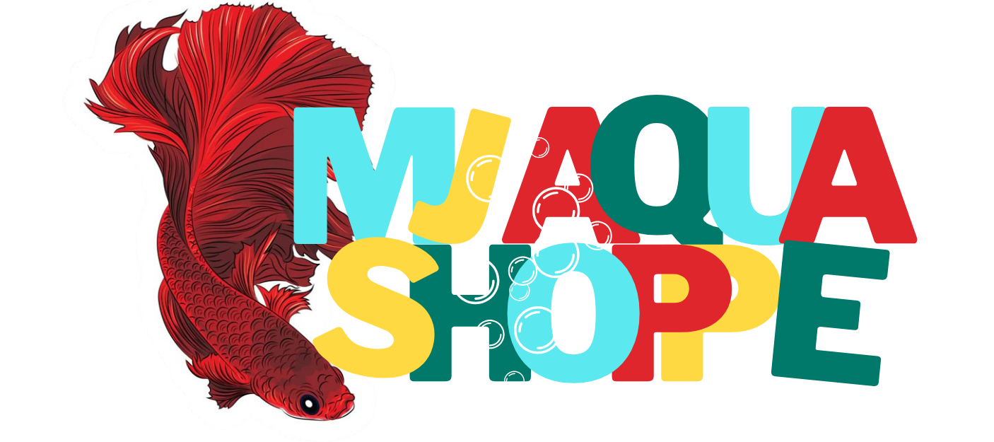 Aquashoppe | Best online aquatic store