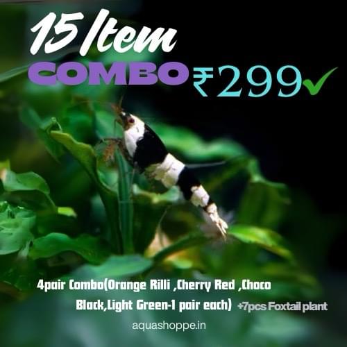15 item Shrimp Combo(4 varieties shrimp+7 pcs Foxtails)